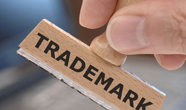 Private Detective In Faridabad India For Trademark & Copyright