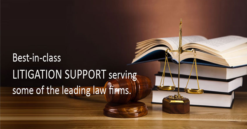 litigation support